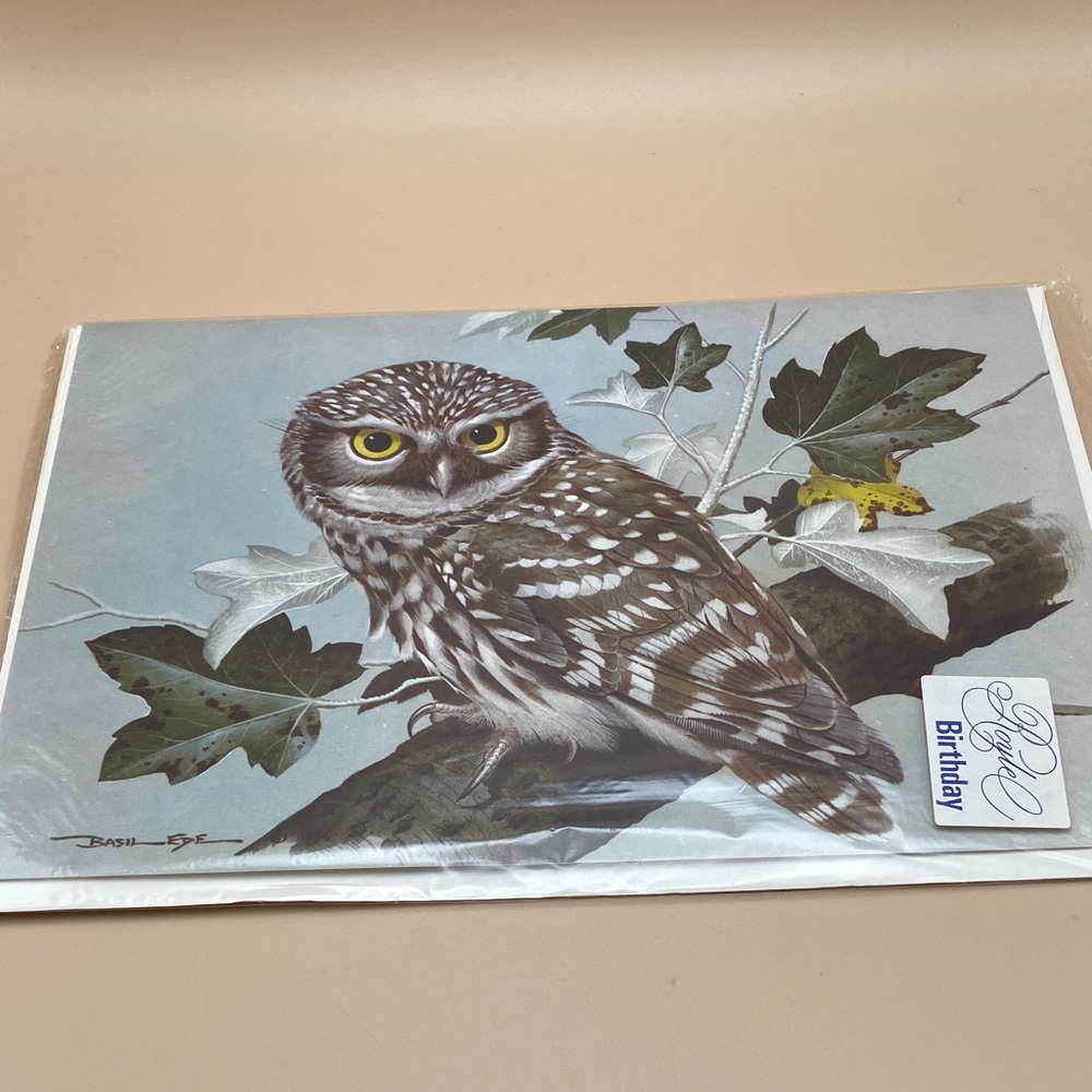 Little Owl by Basil Ede Vintage Birthday Card from Royle